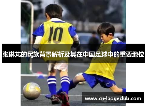 张琳芃的民族背景解析及其在中国足球中的重要地位
