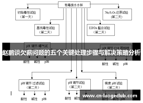 赵鹏谈欠薪问题的五个关键处理步骤与解决策略分析