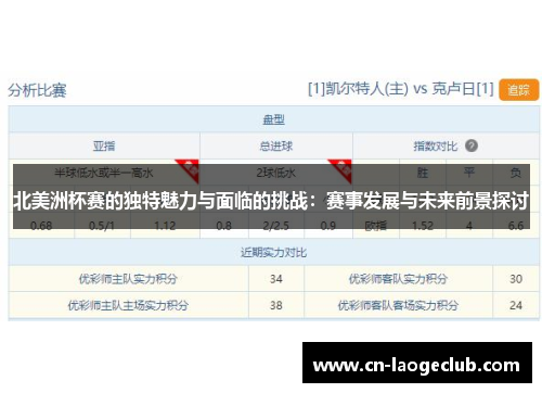 北美洲杯赛的独特魅力与面临的挑战：赛事发展与未来前景探讨