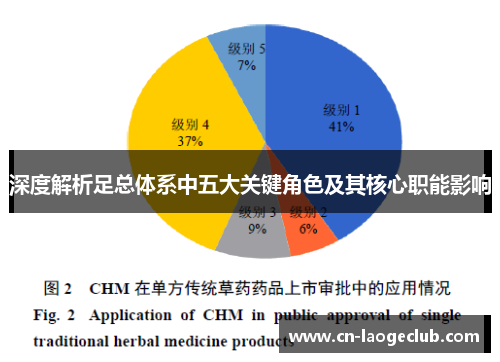 深度解析足总体系中五大关键角色及其核心职能影响