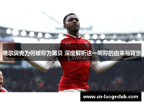 维尔贝克为何被称为黑贝 深度解析这一昵称的由来与背景