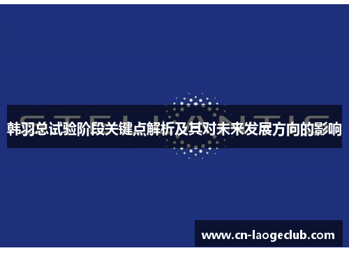 韩羽总试验阶段关键点解析及其对未来发展方向的影响