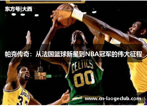 帕克传奇：从法国篮球新星到NBA冠军的伟大征程