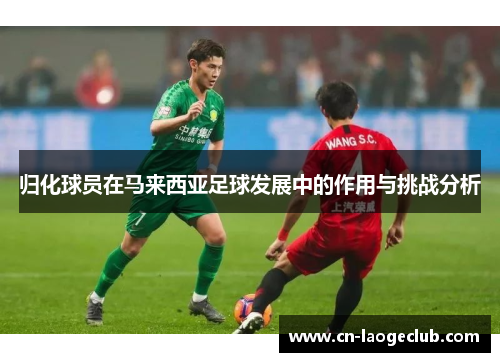 归化球员在马来西亚足球发展中的作用与挑战分析