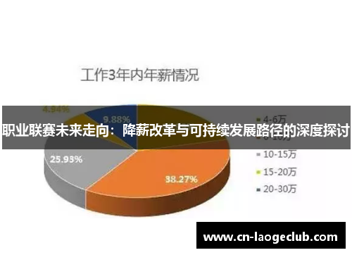 职业联赛未来走向：降薪改革与可持续发展路径的深度探讨